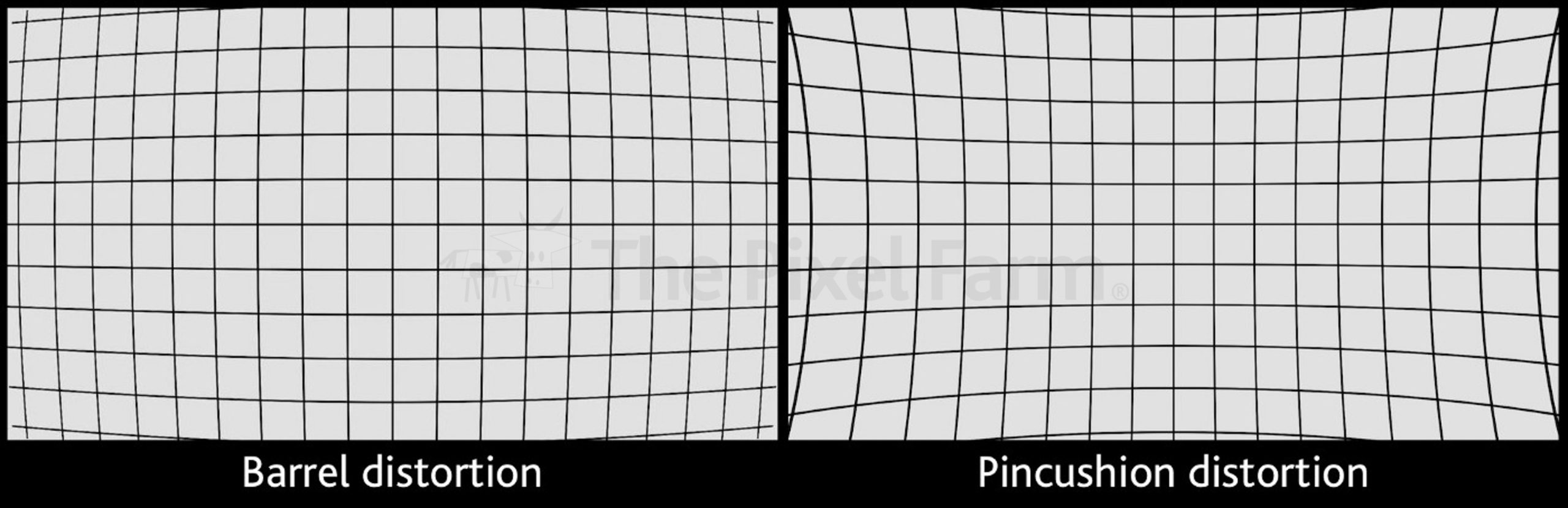 example of two different types of optical distortion