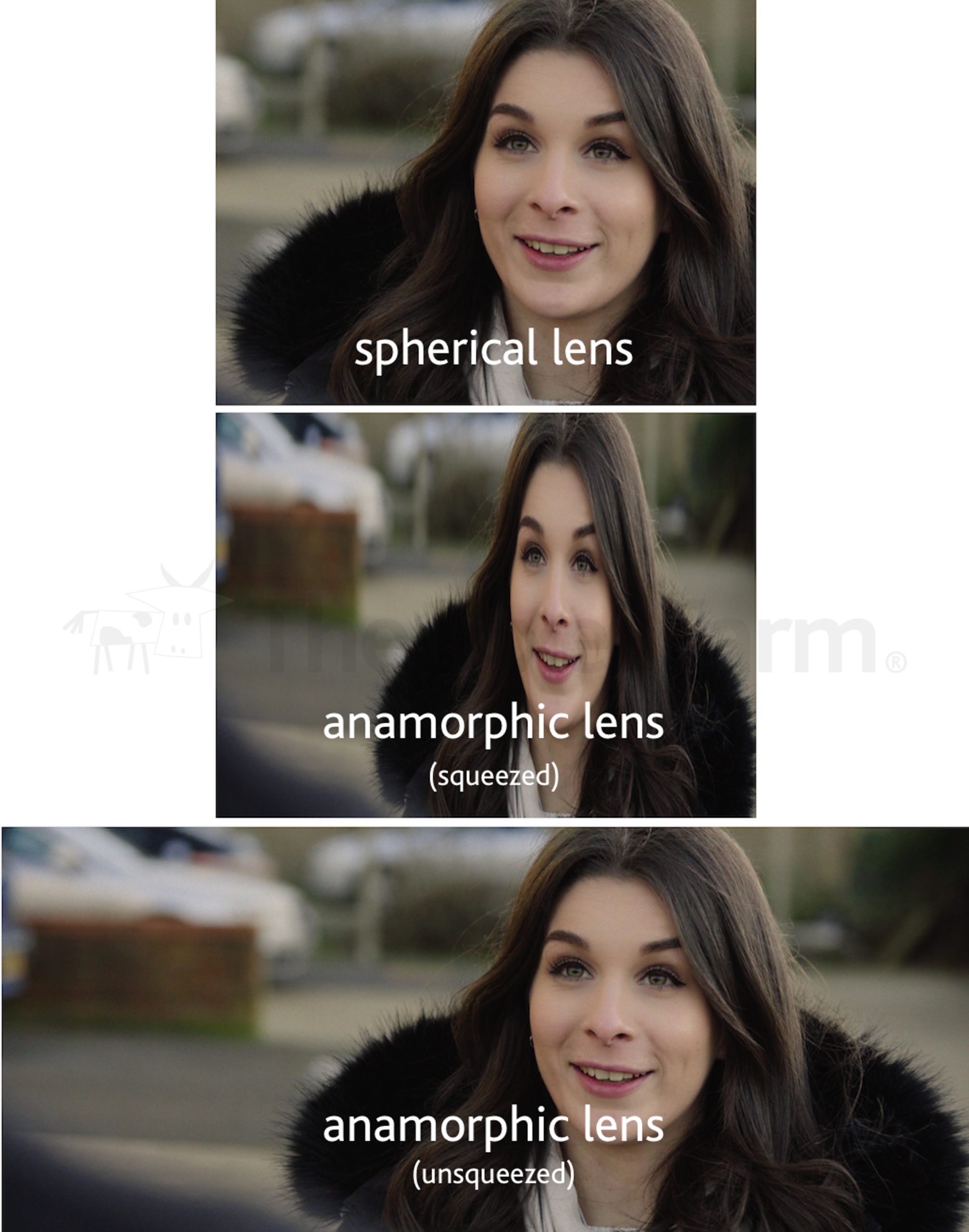 example of spherical and anamorphic images