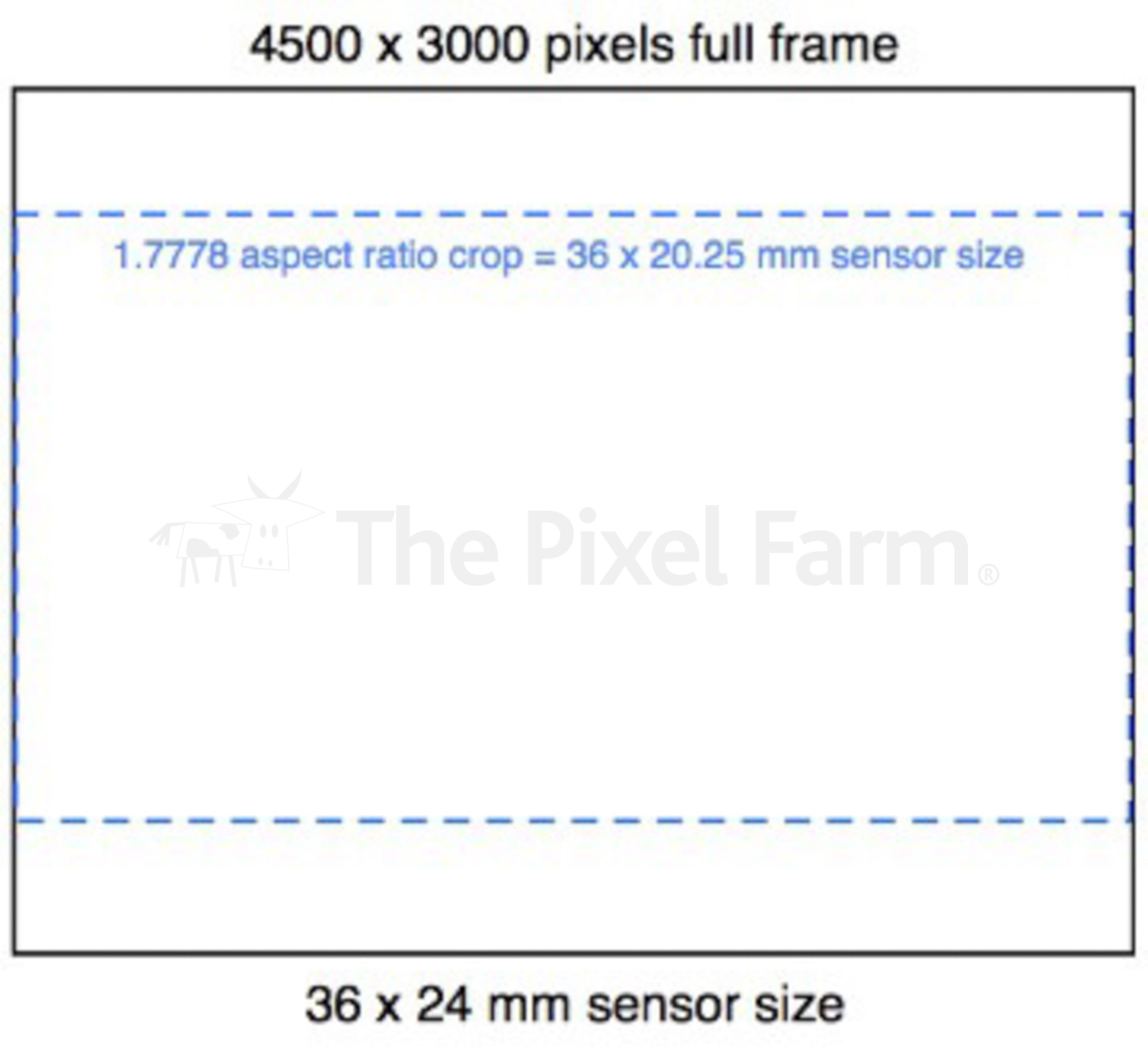 cropped sensor for video